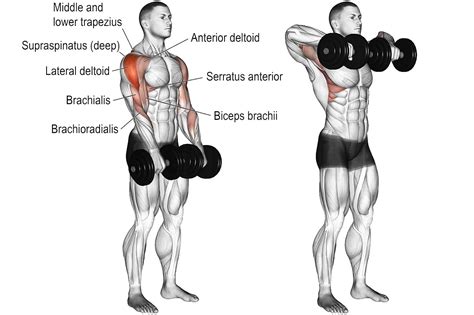 dumbbell upright row exercise  hurting  shoulders fitness volt