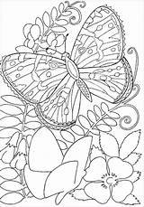 Butterflies Insects Blumen Borboleta Schmetterling Sommerfugl Ausdrucken Blandt Blomster Tegninger Supercoloring Blommor Att Målarbilder Kategorier Fiori Bukaninfo Borop Categorias sketch template