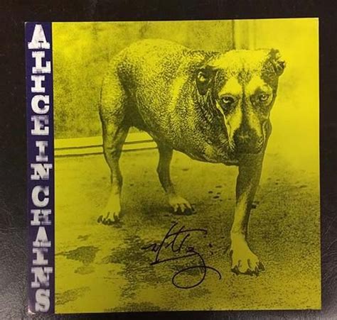 original autographed promo album flat for the self titled alice in chains album from 1995 12 x
