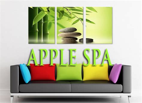 apple spa willowbrook il  services  reviews