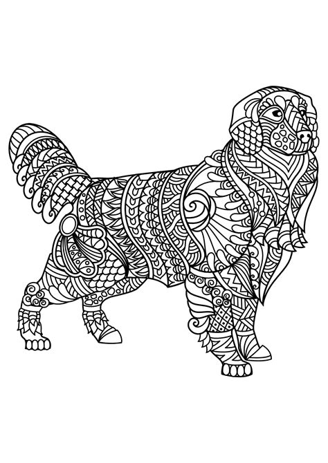 book dog labrador dogs adult coloring pages