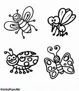 Bugs Insect Insects sketch template