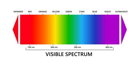 visible light spectrum infared  ultraviolet electromagnetic