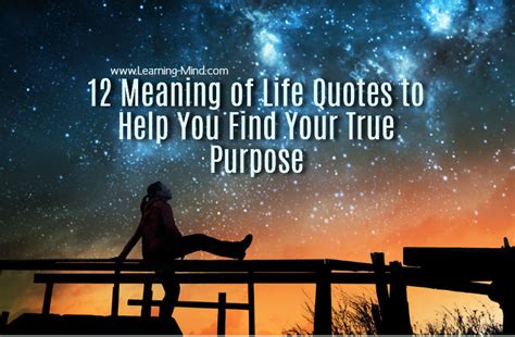 meaning  life quotes    find  true purpose learning mind