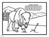 Bison 1257 Coloriages sketch template