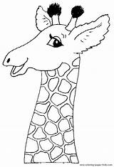 Giraffe Coloring Pages Animal Color Printable Giraffes Sheets Animals Kids Found Coloriage Print Head sketch template