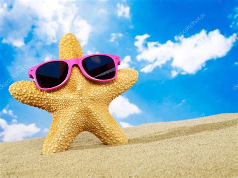 cool starfish  sunglasses stock photo  goir