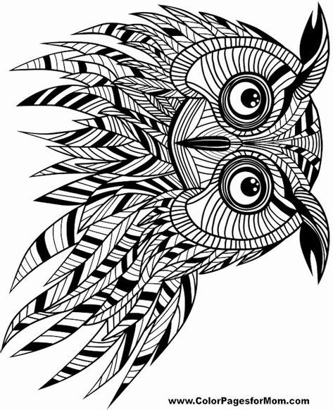 owl coloring book  adults owl coloring pages mandala