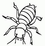 Insects Insetos Pintarcolorir Clipartmag Ainda Muitos Encontrar Você sketch template