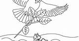 Ant Dove Coloring Aesop Fables sketch template