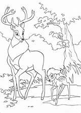 Bambi Kolorowanka Jelonek Jeleń Lesie Spacerze Piękny Dorosły sketch template