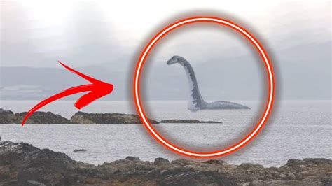 sea serpent caught  camera camera footages viral video toxic gadgets  youtube