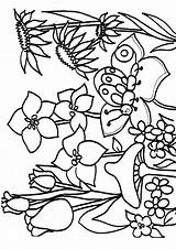 Wiosenne Kwiaty Primavera Kolorowanki Druku Malowanki Dzieci Wiosna Pani Wydruku Ptaki Momjunction Mycoloring Feito sketch template