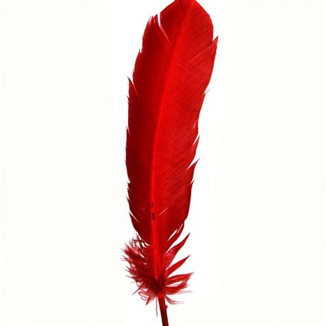 red indian feathers indian feathers calico laine red indian indian