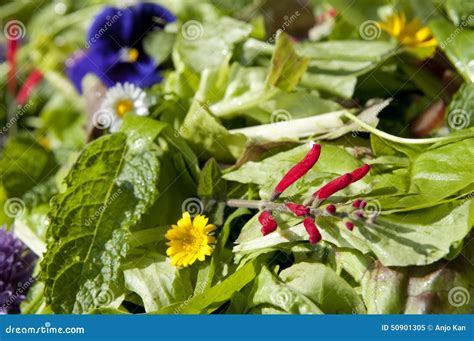 Salade De Jardin Avec Les Fleurs Mangeables Image Stock Image Du