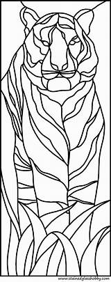 Vitrail Tigre Vitrales Recherche Résultats Vitral Stain Designs Ausmalen Dolphin Schablonen Seidenmalerei Mosaikkunst Glasmalerei Applikationen Zeichnungen sketch template