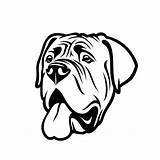 Mastiff English Dog Vector Illustration Outline Isolated Head Purebred Outlined Drawing Stock Depositphotos sketch template