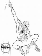 Spider Morales Miles Coloring Verse Pages Man Into Kids Printable Print Book sketch template