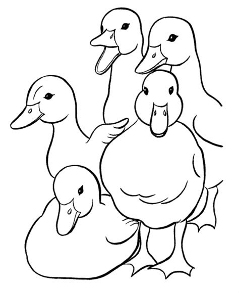 printable duck coloring pages  kids