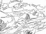 Sawfish Coloring Designlooter Plz Background sketch template