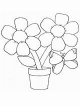 Floare Ghiveci Colorat sketch template