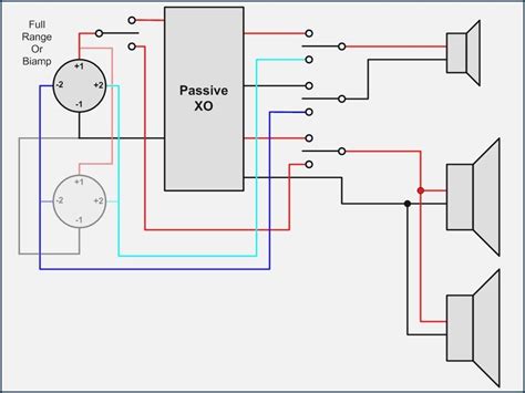 pole speakon wiring diagram easy wiring