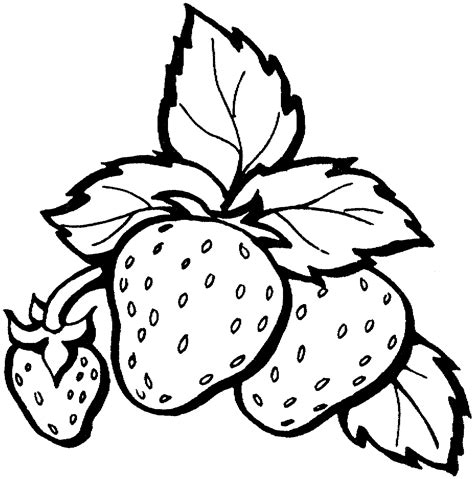 strawberry coloring pages    print