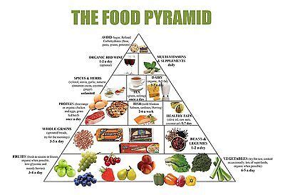 food pyramid healthy eating meal  diet plan    poster ebay