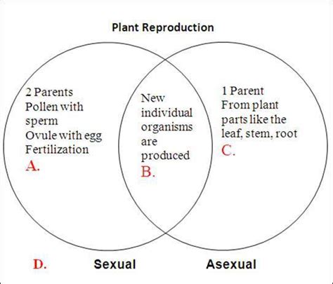 32 Sexual And Asexual Reproduction Venn Diagram Wiring Free Download