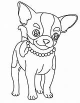 Chihuahua Coloring Pages Dog Cute Necklace Beautiful Chiwawa Drawing Netart Printable Puppy Kids Colouring Color Sheets Getdrawings Drawings Teacup Line sketch template