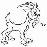 Billy Goats Coloring Three Gruff Pages Para Colorear Dibujos Dibujo Cabrita Goat Cabras Getcolorings Animales Animados Gr Dairy Guardado Desde sketch template