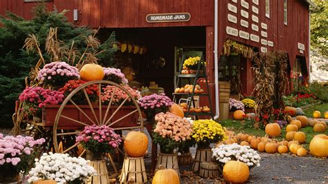 fall tips to help boost your small business this fall holiday season