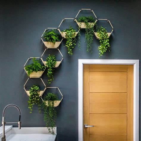 indoor wall planters hanging wall planter hexagon modules etsy