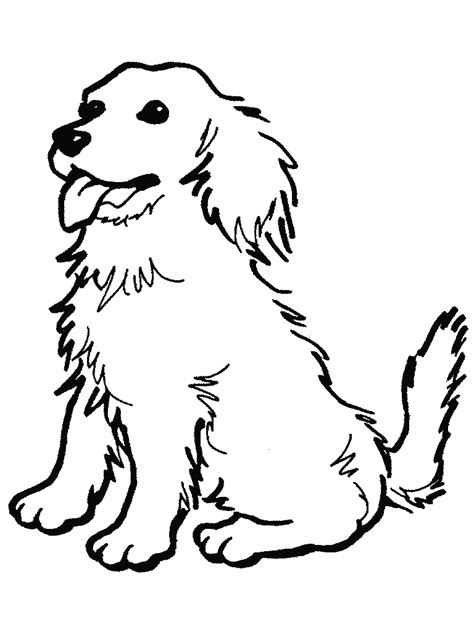 dog drawing  drawing