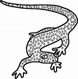 Amphibian Reptile Amphibians Caecilian Ingrahamrobotics sketch template
