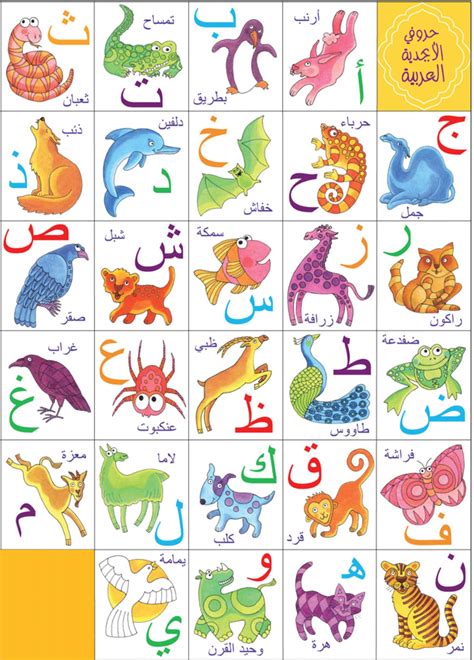 arabic alphabet  hd
