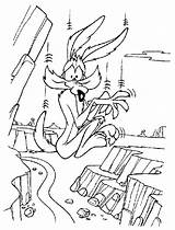 Coyote Wile Looney Tunes Abismo Caindo Coiote Correcaminos Toons Tudodesenhos Pintar sketch template
