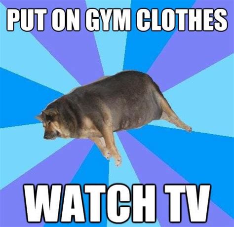 13 Hilarious Memes Related To Being Lazy For You To Enjoy
