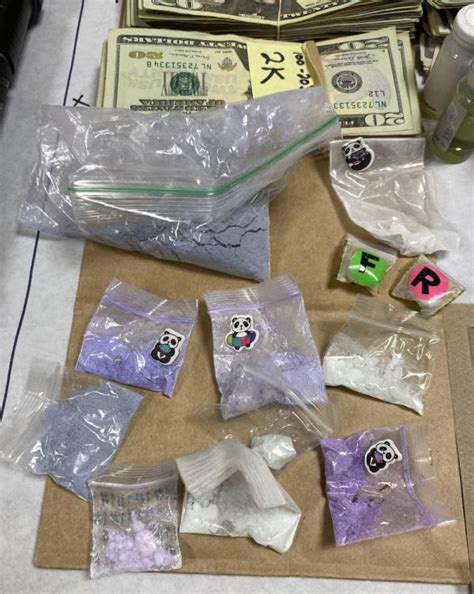 Narcotics Arrest – Vista North County Daily Star