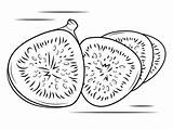 Fig Coloring Fruit Pages Printable Figs Drawing Fruits Categories sketch template