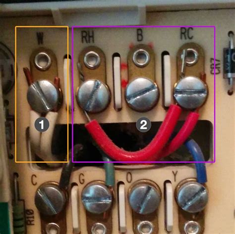 wiring diagram pictures schematronorg