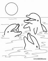 Dolphin Coloring Pages Realistic Getdrawings sketch template