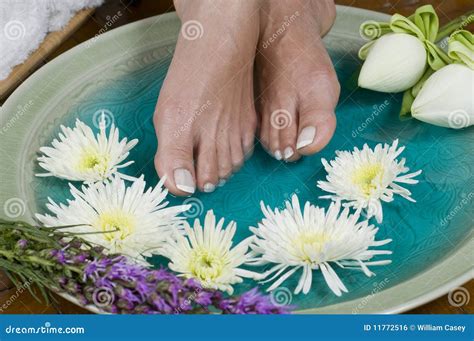 lotus flower aromatherapy spa  feet royalty  stock image image