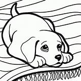 Cani Puppys Cachorro Pet sketch template