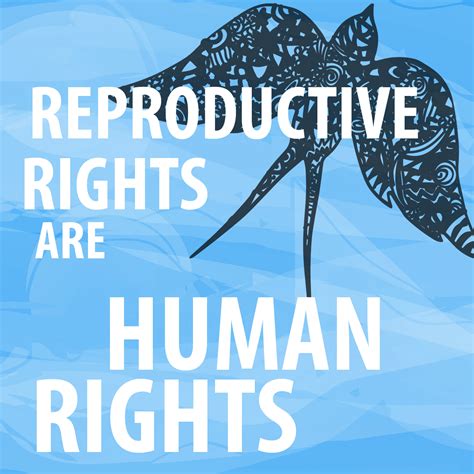 Secular Pro Life Perspectives Reproductive Rights Are Human Rights