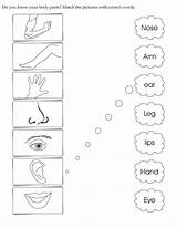 English Matching Worksheets Activities Choose Board sketch template