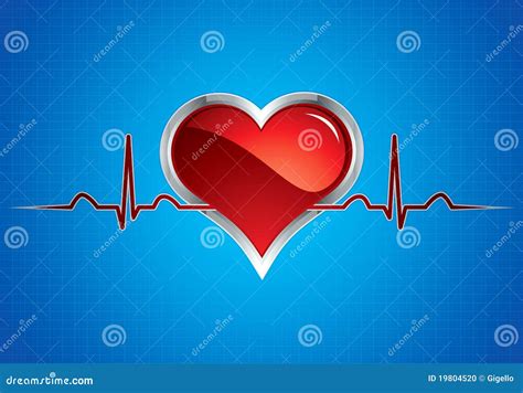 heart beats stock vector illustration  graph love