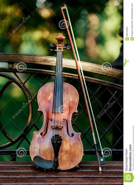 Violin Music Instrument Of Orchestra Violins In The Park