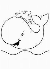 Preschool Coloring Whale Pages sketch template