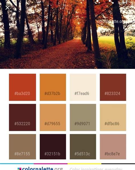 rustic color palettes house color palettes color schemes colour palettes fall color palette